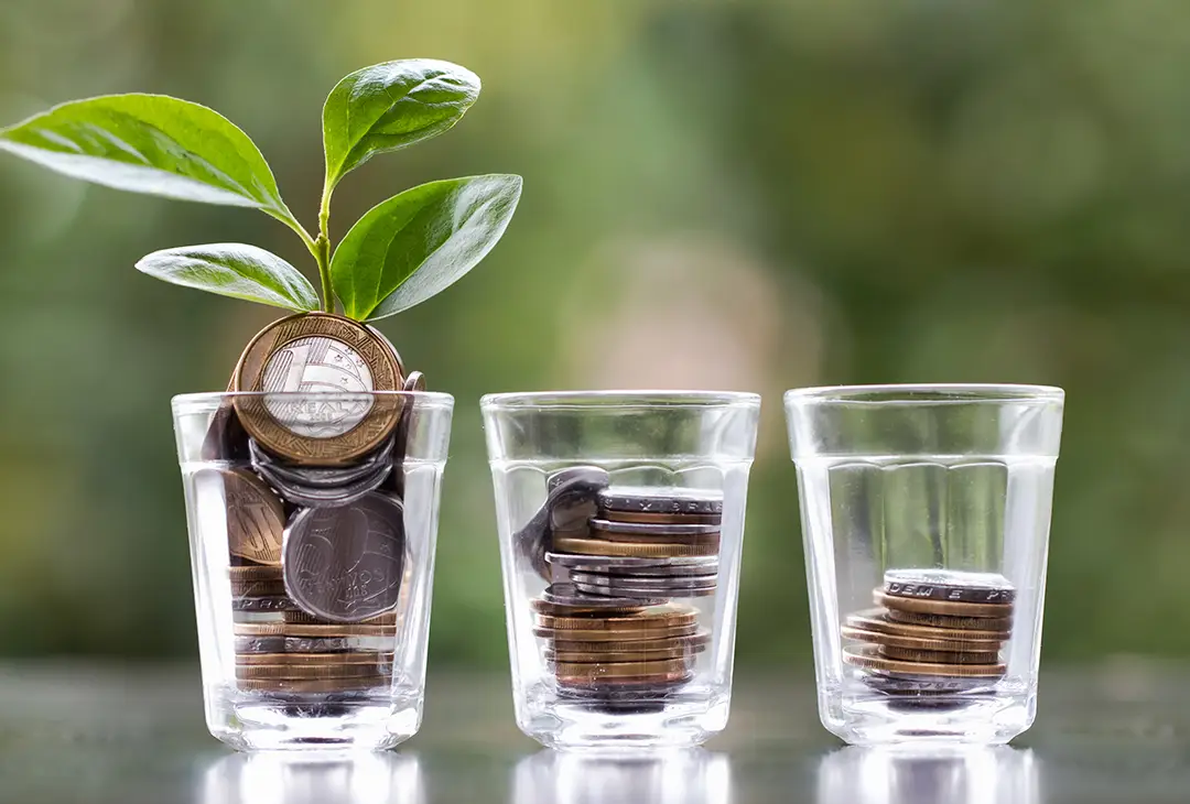 Long-Term Investment Security